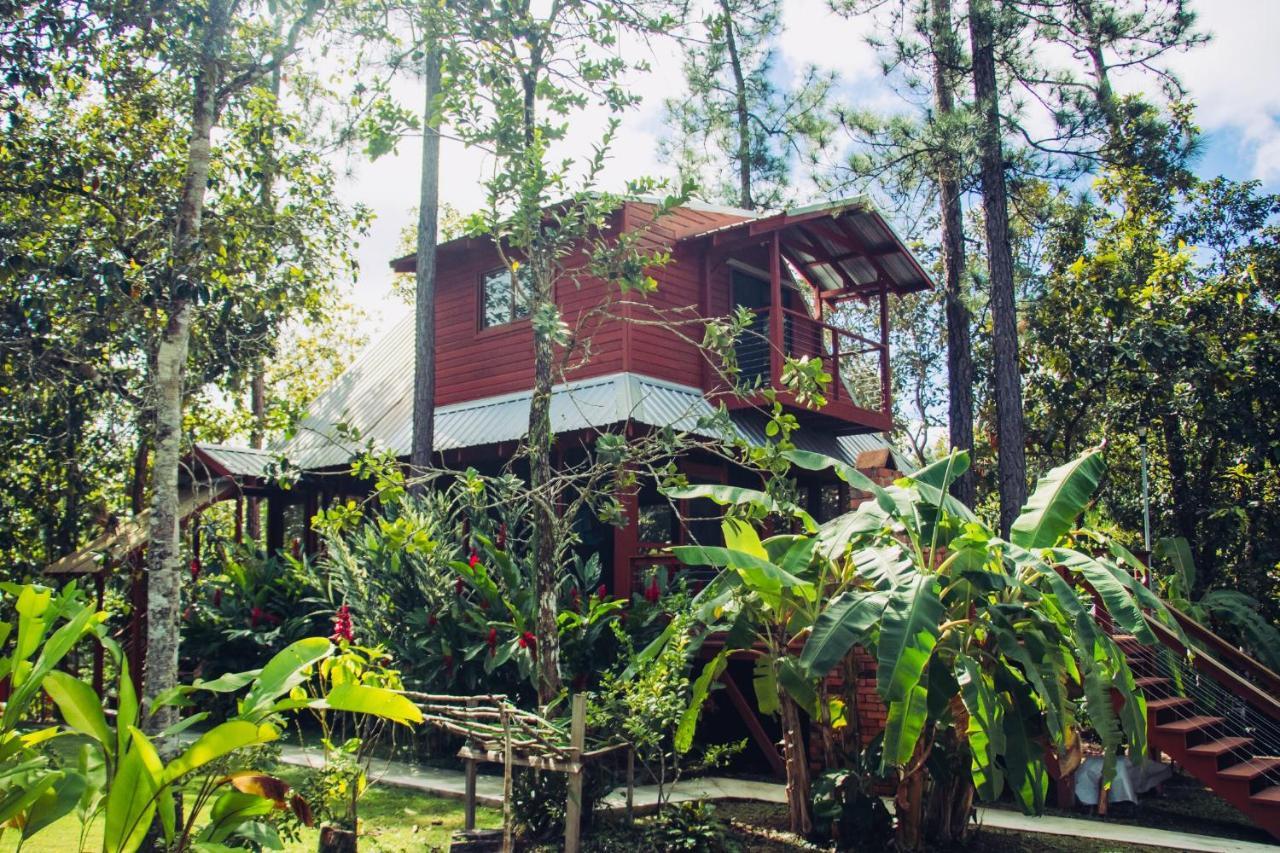 Kane Villas - Mountain Pine Ridge サン・イグナシオ エクステリア 写真